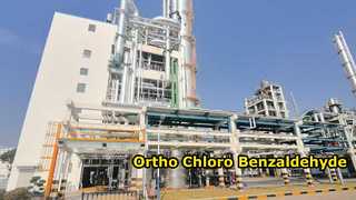 Para Cloro Benzaldeído-Changzhou Xindong Chemical Industry Development Co., Ltd.