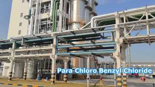 Para Cloreto de Cloro Benzil - Changzhou Xindong Chemical Industry Development Co., Ltd.